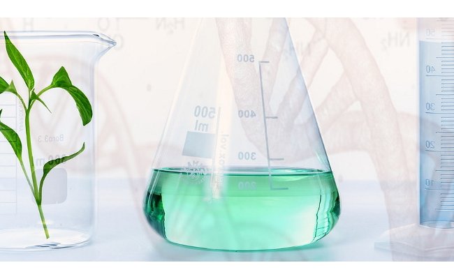 De la « mauvaise science » peut-elle poser de bonnes questions ?