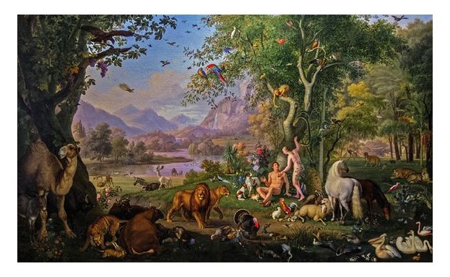 Reconquête de la biodiversité : de quelle nature parle-t-on ?