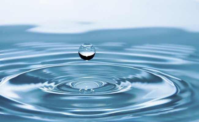Mémoire de l'eau et biologie numérique