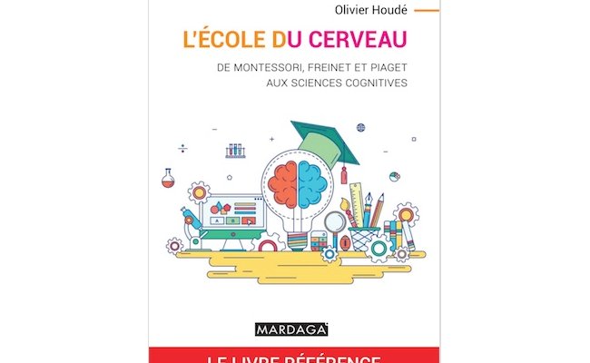 L'école du cerveau
