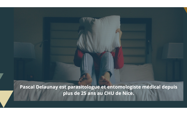 [Conférence en ligne - Mardi 3 décembre 2024 à 20h00] Punaises de lit