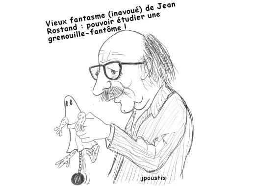 Préambule