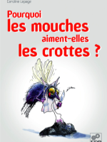 Pourquoi les mouches aiment-elles les crottes ?