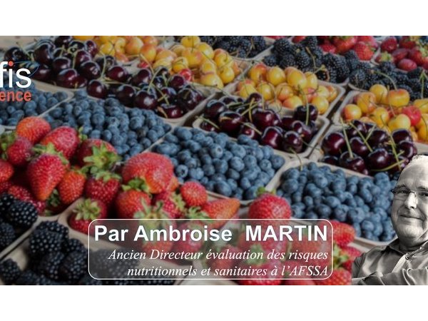 Vidéo - Conférence Nutrition et environnement : Quel impact pour bien manger ?