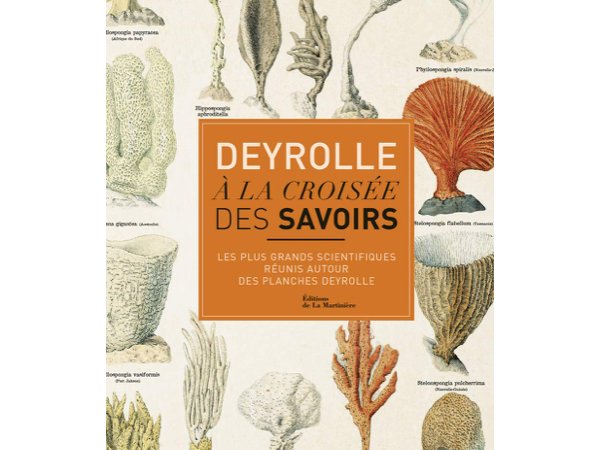 Deyrolle à la croisée des savoirs