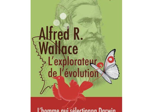 Alfred R. Wallace 