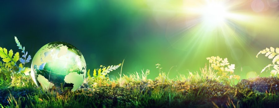 L'écologie, la science et la politique