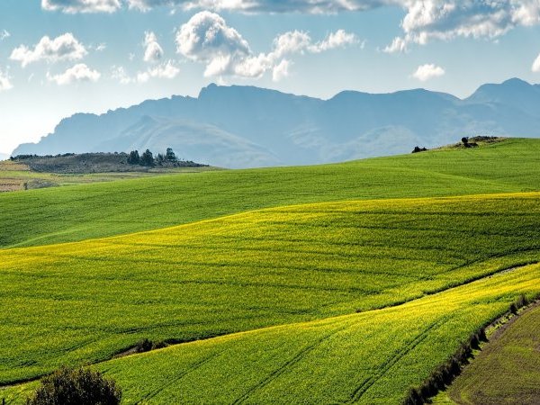 Agriculture, pesticides et biodiversité