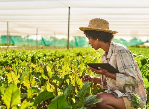 Quinze ans de sabotage de la recherche en biotechnologies : laissons travailler les chercheurs français !