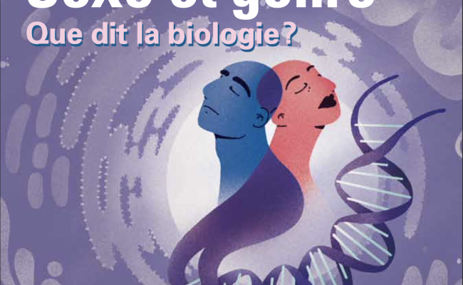 347 (Janvier 2024)