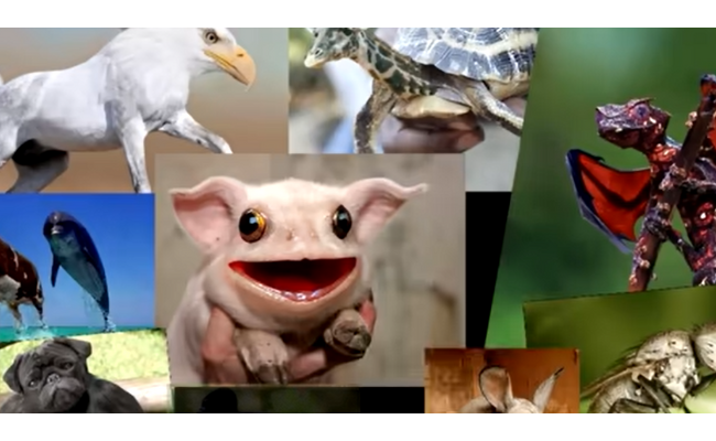Defakator