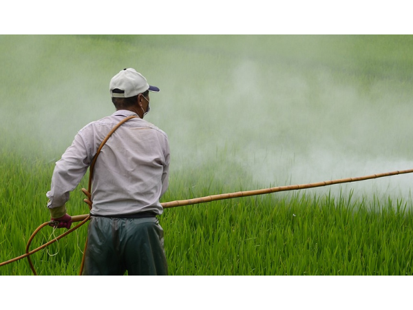 385 millions d'intoxications aux pesticides chaque année : vraiment ?