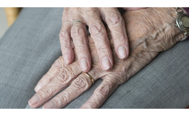 Des bactéries pour améliorer le traitement de la maladie de Parkinson