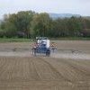 Les pesticides réduisent-ils la biodiversité ?