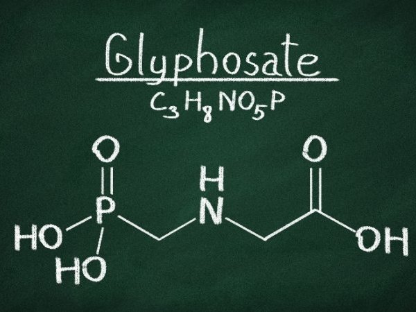 Toxicocinétique et glyphosate