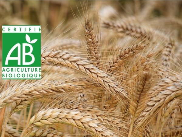 Dix questions sur l'agriculture biologique