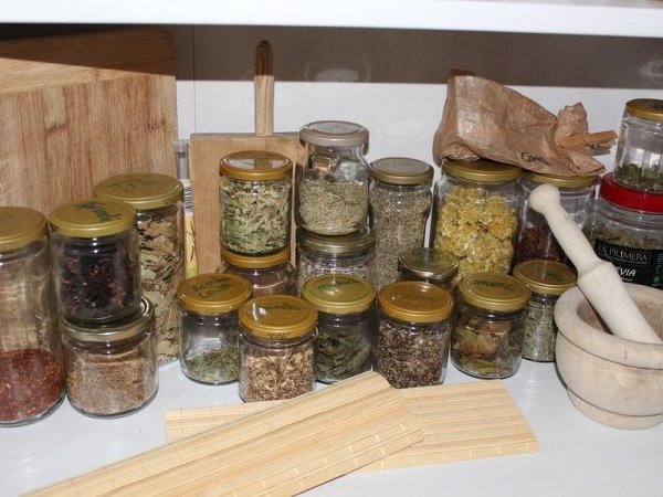 Phytothérapie : la santé par les plantes