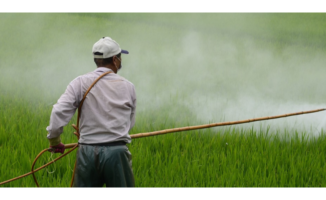 385 millions d'intoxications aux pesticides chaque année : vraiment ?