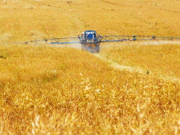 Le glyphosate est-il cancérogène ?