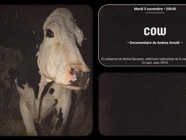 [Lyon - mardi 5 novembre 2024 à 20h30] Cow • Un documentaire de Andréa Arnold