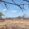 L'Afrique souffre de la crise climatique sans beaucoup y contribuer