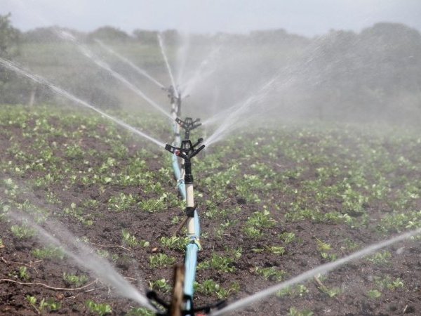 Les « mégabassines » de Sainte-Soline : un éclairage scientifique sur un sujet controversé