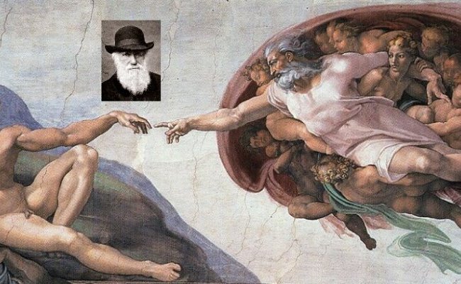 La théorie darwinienne de l'évolution dérange toujours les créationnismes