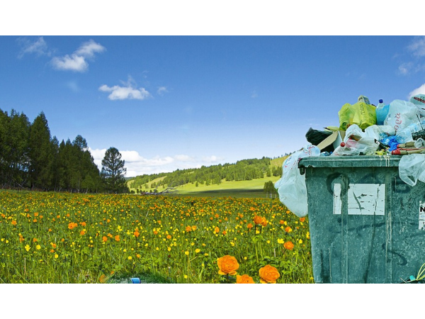 Un plastique biodégradable avec des enzymes intégrées ?