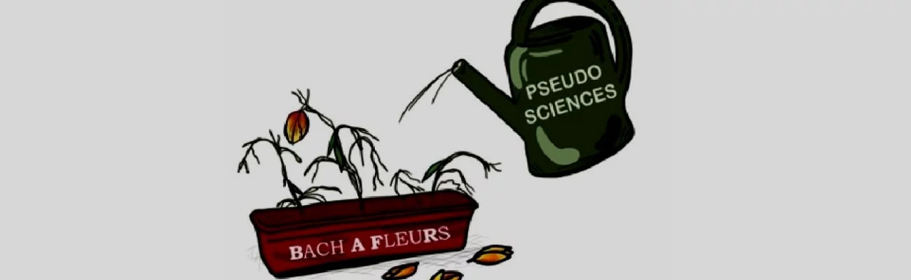 Les élixirs du D<sup>r</sup> Bach : c'est le bouquet !