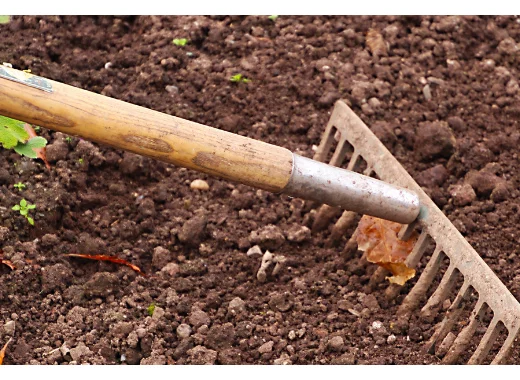 Cadmium dans les sols : une décision à l'impact très marginal