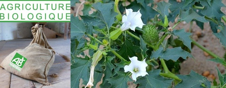 Intoxication alimentaire : une alerte ignorée