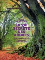 La vie secrète des arbres