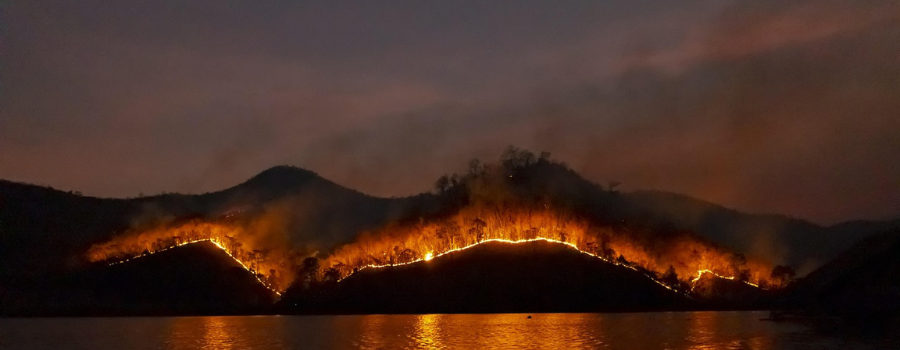 Quels sont les impacts du changement climatique ?