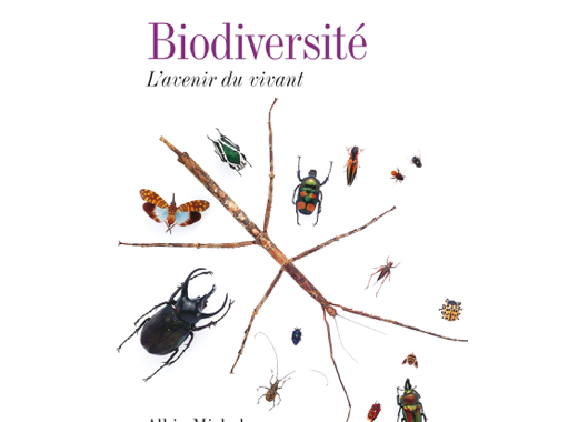 Biodiversité : L'avenir du vivant