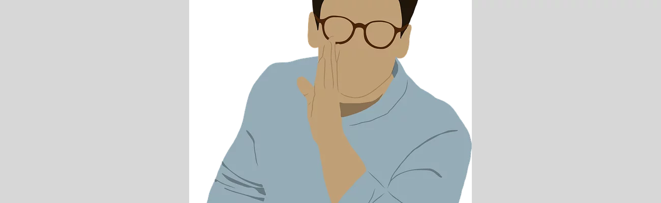 Les sornettes en question