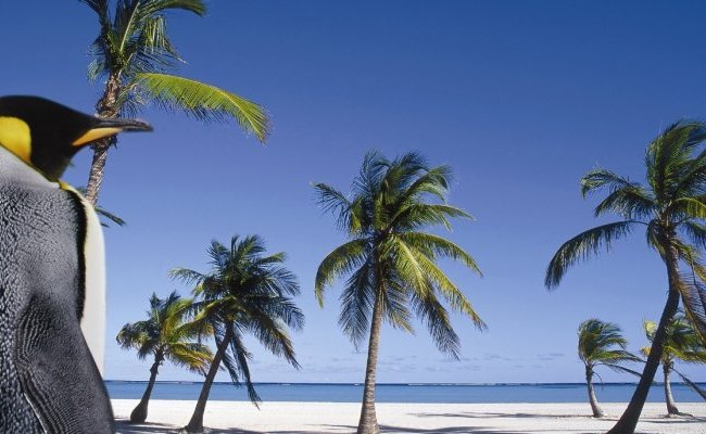 Les connaissances sur le changement climatique mondial