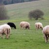 Du bon usage de la généralisation
