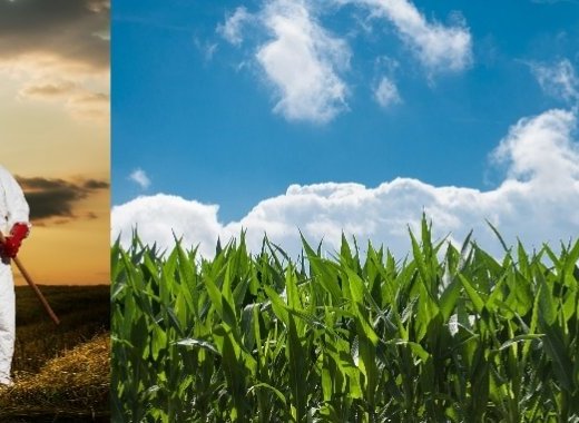 La lutte contre les OGM, l'obscurantisme vert