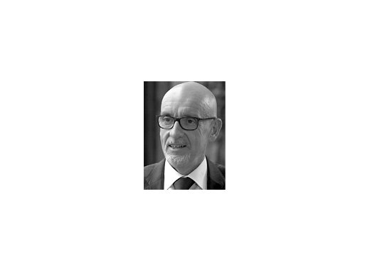 Georges Salines