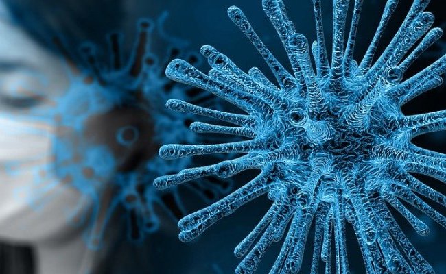 Ce que nous apprend la crise du coronavirus