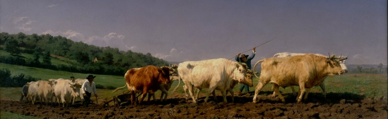 L'agriculture du Lauragais au milieu du XIX<sup>e</sup> siècle