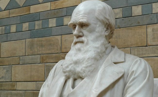 La différence entre Hahnemann et Darwin