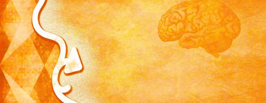 Autisme : le jour se lève pour les approches scientifiques