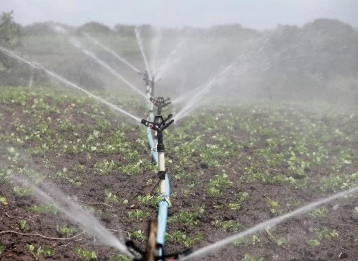 Les « mégabassines » de Sainte-Soline : un éclairage scientifique sur un sujet controversé