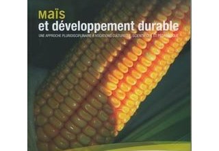 Maïs et développement durable