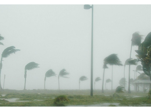 Le réchauffement climatique explique-t-il les événements climatiques extrêmes ?
