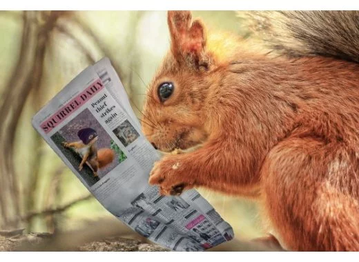 De l'humour dans la recherche scientifique