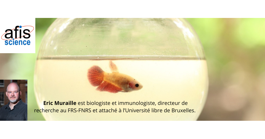 [Conférence en ligne – Mardi 20 janvier 2026 à 20h00] L’expérimentation animale en question – Afis Science
