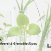 [Grenoble - jeudi 19 novembre 2026 à 18h30] Les plantes, championnes de l'adaptation