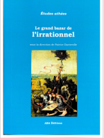 Le grand bazar de l'irrationnel 